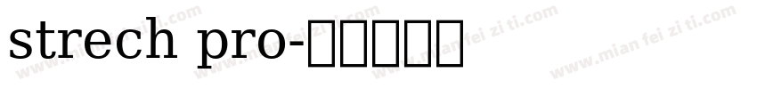 strech pro字体转换